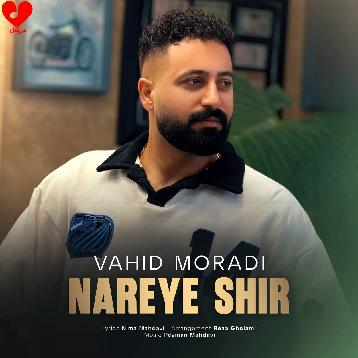 دانلود آهنگ نعره شیر از وحید مرادی